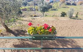 Casa de Campo - Cinfães do Douro